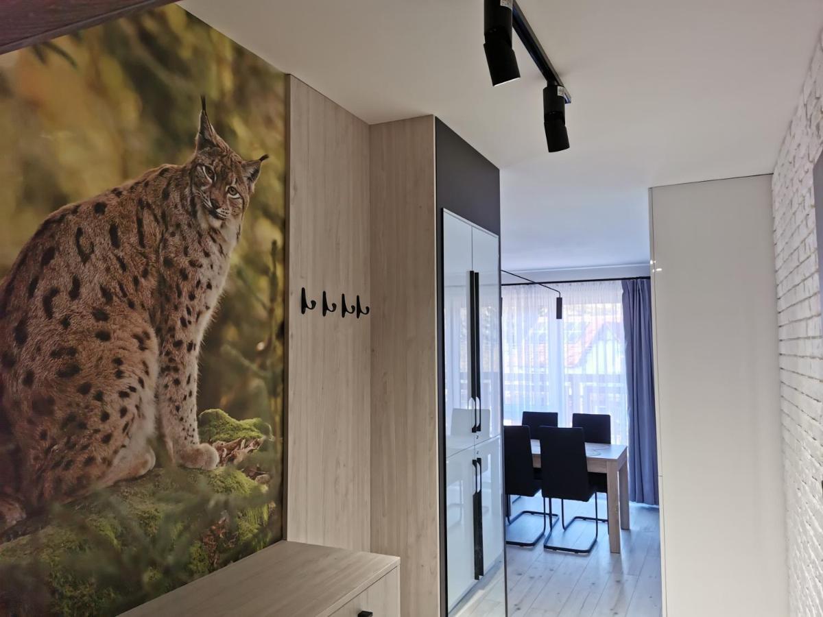 Rys Apartment